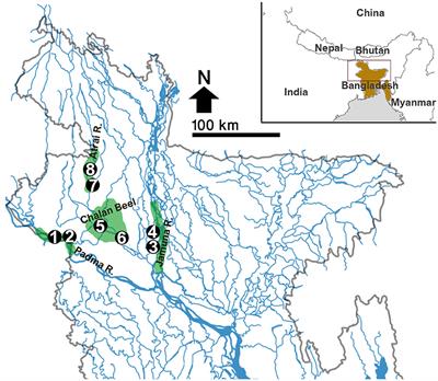 Stakeholders' knowledge of threatened freshwater fishes and their involvement in fishery value chains in order to assist conservation in developing countries